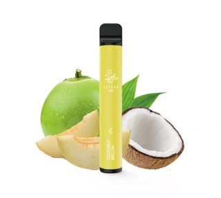 Elfbar 600 Disposable Pod Kit (Coconut Melon)